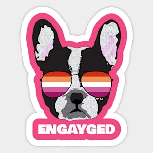 Funny Lesbian ENGAYGED - Boston Terrier Dog Lesbian Pride Flag Sticker